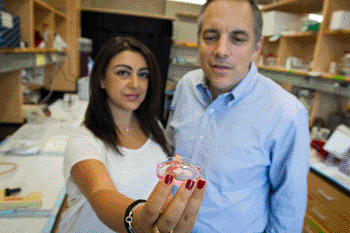 Image: Laura Indolfi (left) holds up a sample of a sponge-like scaffold that she and Elazer Edelman (right) used to show that implanted cells’ therapeutic properties depend on their shape (Photo courtesy of Patrick Gillooly, MIT).